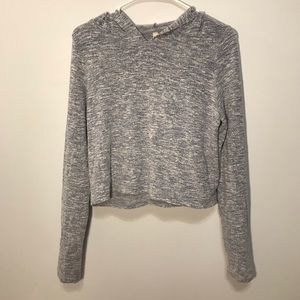 Cropped long sleeve hooded tee